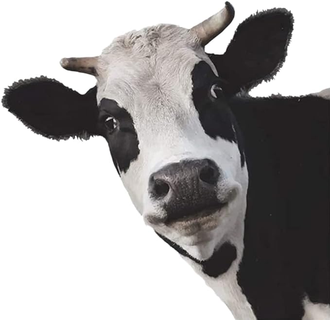 La folie des grandeures